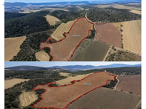 54.420 m² Satılık Tarla| Yatırım ve Tarıma Uygun — Fotoğraf 3