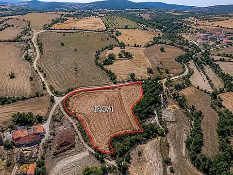 Uşak Eşme Köseler Köyünde 6.300 m² Köyiçi Konumlu Satılık Tarla — Fotoğraf 2