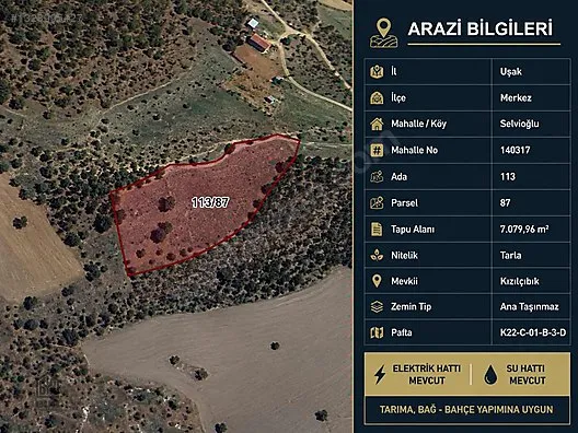 Uşak Merkez Selvioğlu Köyü Satılık 7.000 m² Tarla — Fotoğraf 1