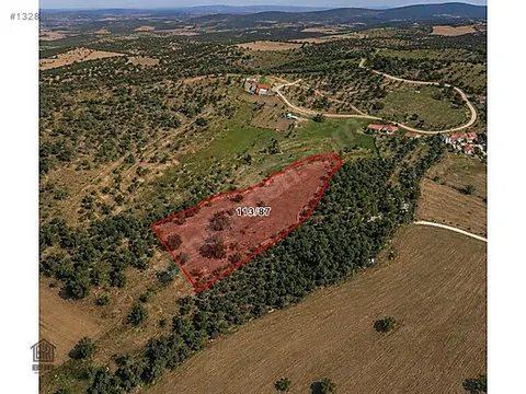 Uşak Merkez Selvioğlu Köyü Satılık 7.000 m² Tarla — Fotoğraf 2
