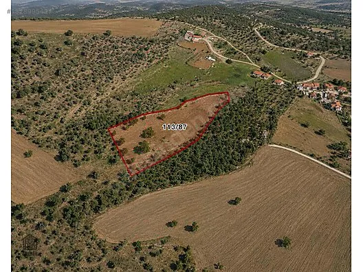 Uşak Merkez Selvioğlu Köyü Satılık 7.000 m² Tarla — Fotoğraf 3