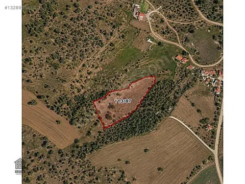 Uşak Merkez Selvioğlu Köyü Satılık 7.000 m² Tarla — Fotoğraf 4