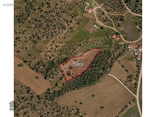 Uşak Merkez Selvioğlu Köyü Satılık 7.000 m² Tarla — Fotoğraf 4